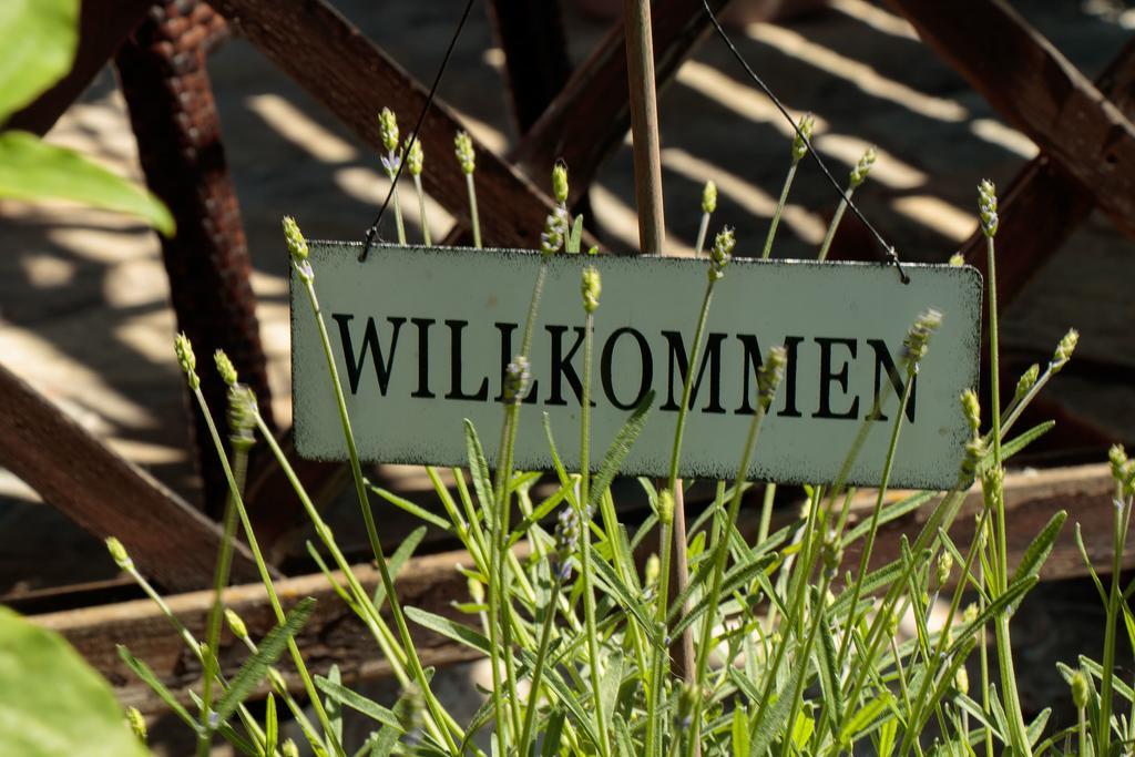 Pension Alte Mühle Gmünd Exterior foto